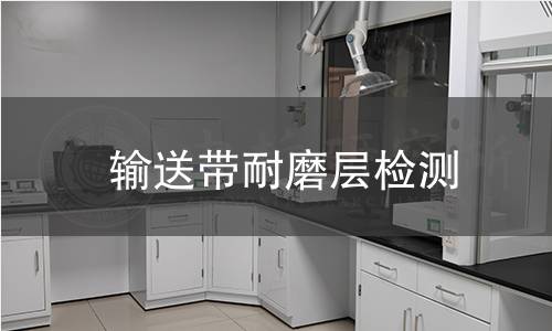 輸送帶耐磨層檢測