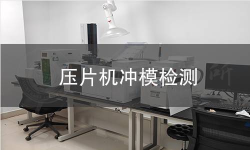 壓片機(jī)沖模檢測(cè)