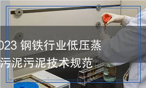 YB/T 6101-2023 鋼鐵行業(yè)低壓蒸汽干燥水處理污泥污泥技術規(guī)范