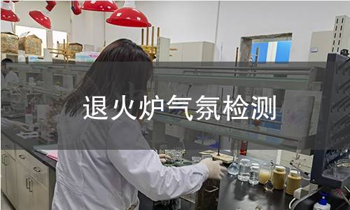 退火爐氣氛檢測(cè)