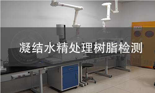 凝結(jié)水精處理樹脂檢測(cè)