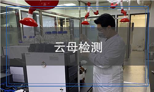 云母檢測