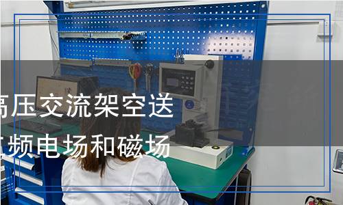 DL/T 988-2023 高壓交流架空送電線路、變電站工頻電場和磁場測量方法