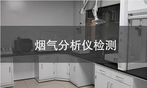 煙氣分析儀檢測(cè)