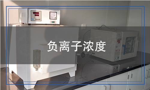 負(fù)離子濃度