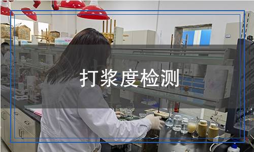 打漿度檢測(cè)