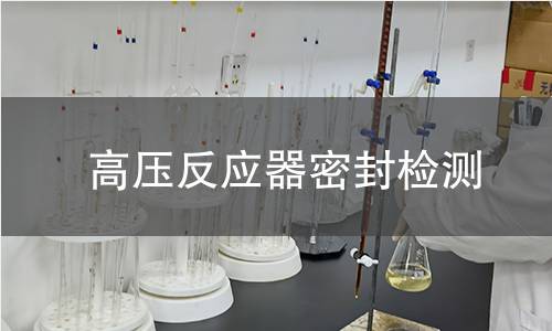 高壓反應(yīng)器密封檢測