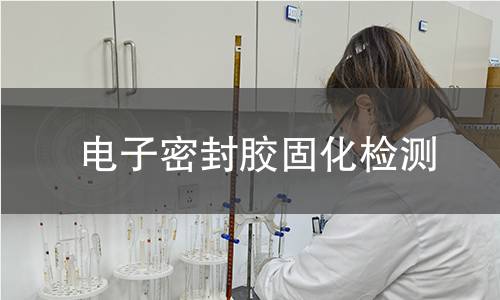 電子密封膠固化檢測