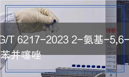 HG/T 6217-2023 2-氨基-5,6-二氯苯并噻唑
