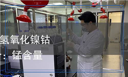 YS/T 1658.7-2023 粗氫氧化鎳鈷化學(xué)分析方法 第7部分：錳含量的測(cè)定 電位滴定法