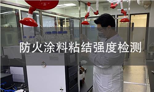 防火涂料粘結(jié)強(qiáng)度檢測(cè)