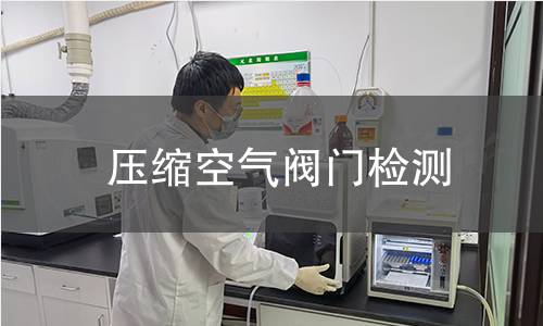 壓縮空氣閥門檢測(cè)