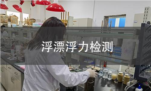 浮漂浮力檢測 浮漂浮力檢測