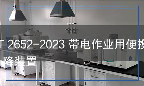 DL/T 2652-2023 帶電作業(yè)用便攜式升降裝置