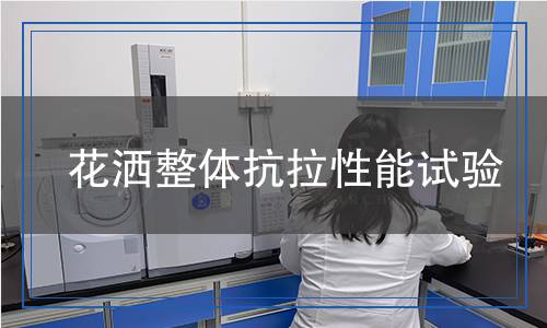 花灑整體抗拉性能試驗