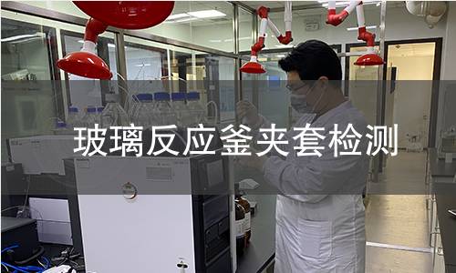 玻璃反應(yīng)釜夾套檢測