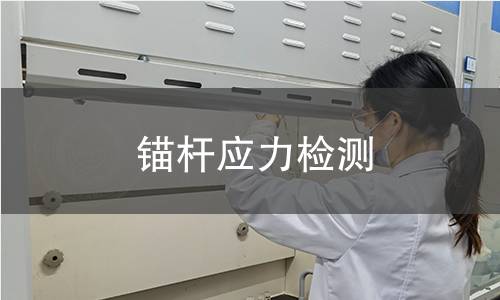 錨桿應(yīng)力檢測