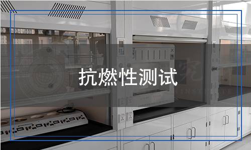 抗燃性測試