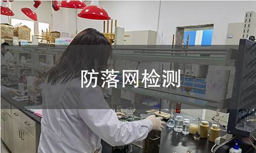 防落網(wǎng)檢測(cè)