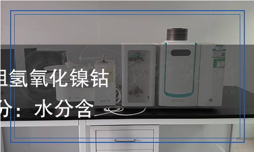 YS/T 1658.5-2023 粗氫氧化鎳鈷化學(xué)分析方法 第5部分：水分含量的測定 重量法