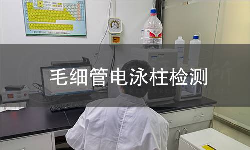 毛細(xì)管電泳柱檢測(cè)