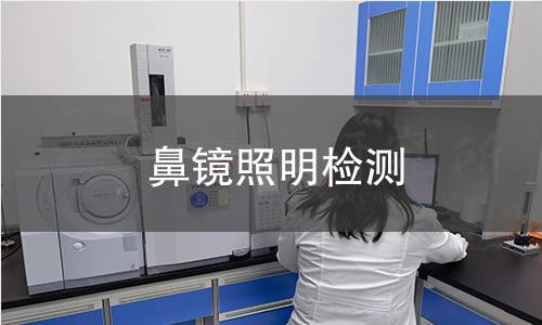 鼻鏡照明檢測
