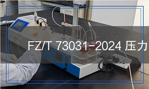 FZ/T 73031-2024 壓力襪