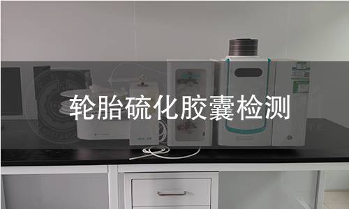 輪胎硫化膠囊檢測(cè)