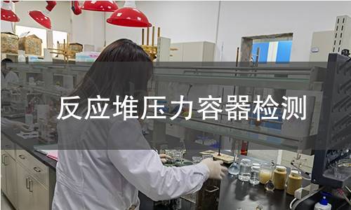 反應堆壓力容器檢測