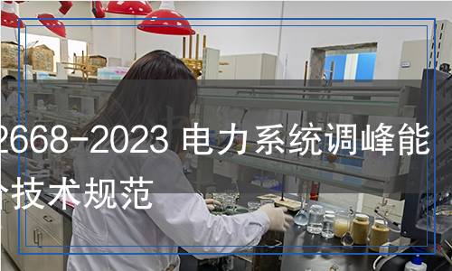 DL/T 2668-2023 電力系統(tǒng)調(diào)峰能力評(píng)價(jià)技術(shù)規(guī)范