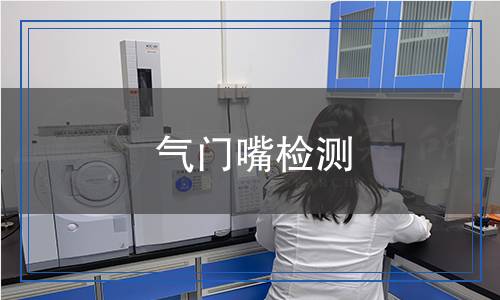 氣門嘴檢測(cè),氣門嘴檢測(cè)報(bào)告