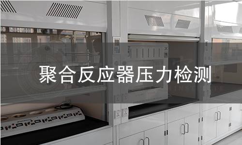 聚合反應(yīng)器壓力檢測