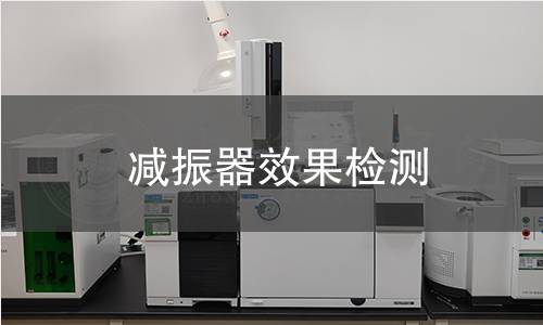 減振器效果檢測(cè) 減振器效果檢測(cè)