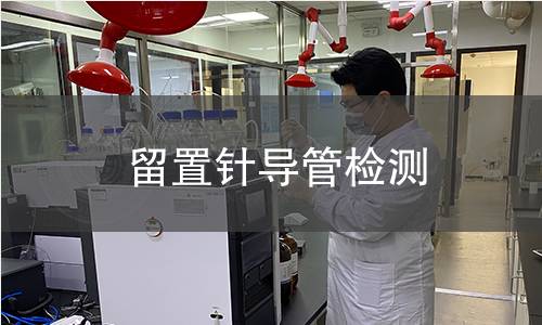留置針導(dǎo)管檢測(cè)