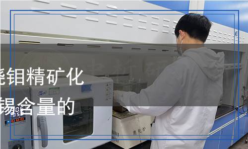 YS/T 1605.4-2023 焙燒鉬精礦化學(xué)分析方法  第4部分：錫含量的測(cè)定 原子熒光光譜法