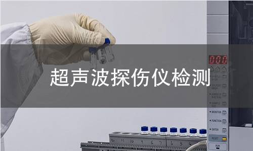 超聲波探傷儀檢測(cè)