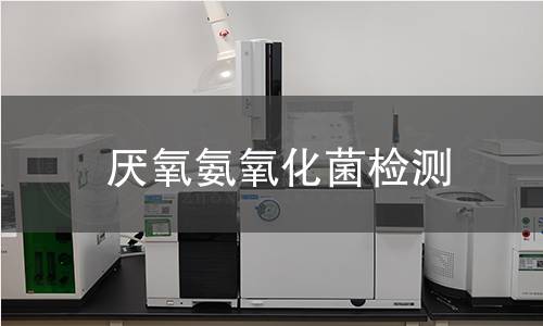 厭氧氨氧化菌檢測