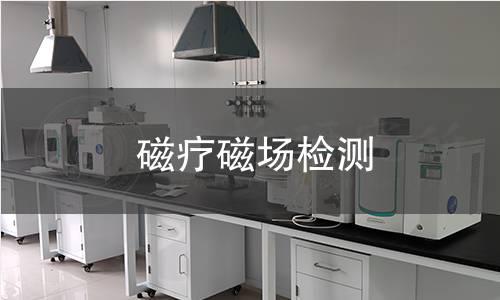 磁療磁場檢測 磁療磁場檢測