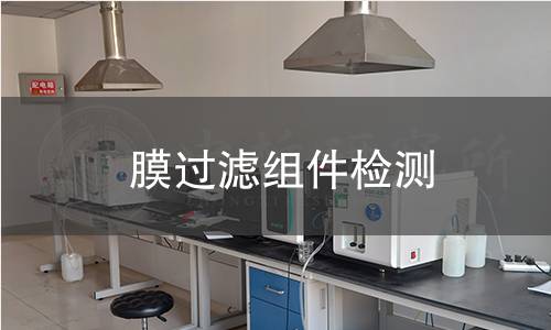 膜過濾組件檢測