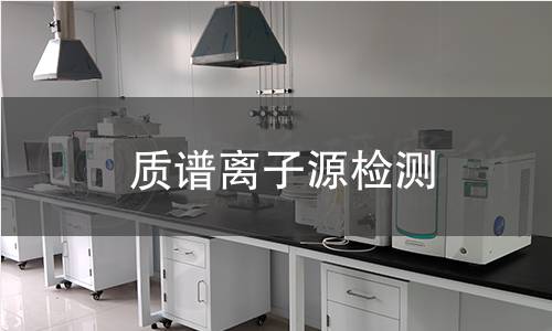 質(zhì)譜離子源檢測
