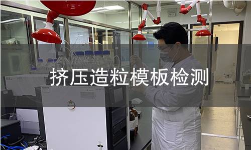 擠壓造粒模板檢測(cè)