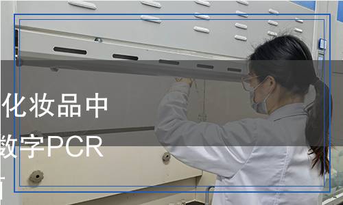 SN/T 5760.7-2024 出口化妝品中病原菌檢測方法 微滴式數(shù)字PCR法 第7部分：白色念珠菌