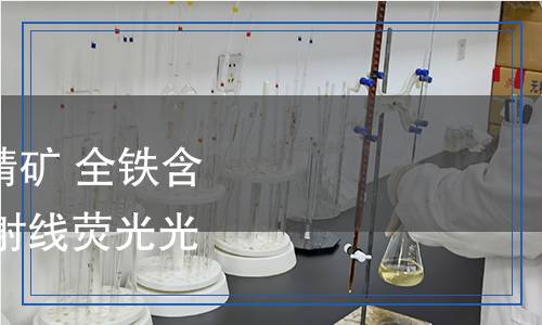 YB/T 6186-2024 鐵精礦 全鐵含量的測(cè)定 能量色散X射線熒光光譜法（半定量法）