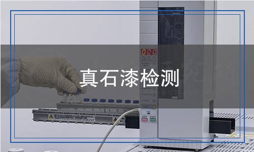 真石漆檢測