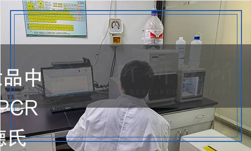 SN/T 5760.5-2024 出口化妝品中病原菌檢測方法 微滴式數(shù)字PCR法 第5部分：洋蔥伯克霍爾德氏菌