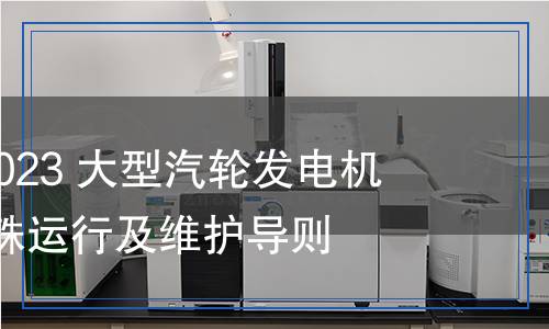 DL/T 970-2023 大型汽輪發(fā)電機(jī)非正常及特殊運行及維護(hù)導(dǎo)則