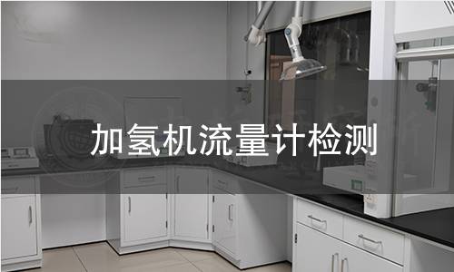 加氫機流量計檢測