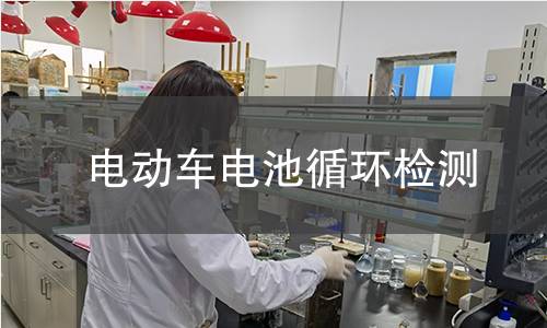 電動車電池循環(huán)檢測