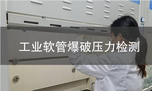 工業(yè)軟管爆破壓力檢測(cè)