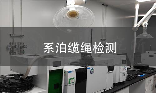 系泊纜繩檢測(cè)
